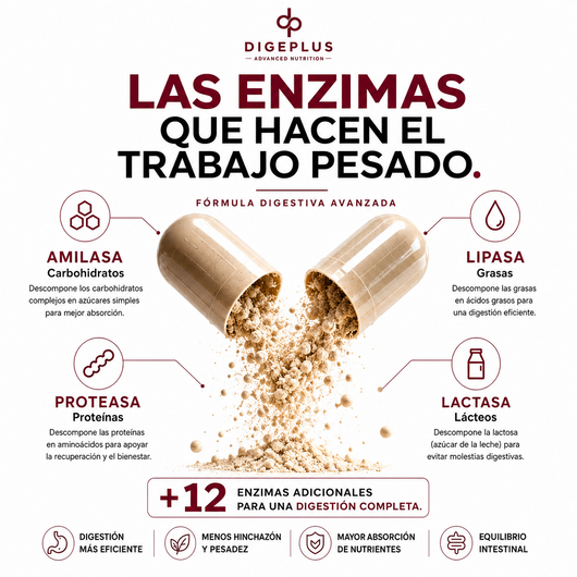 DigePlus® Enzimas Digestivas