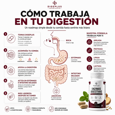 DigePlus® Enzimas Digestivas